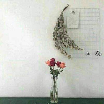 纵横三国自走棋测试服下载
