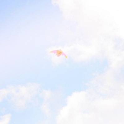小米光影世界手游下载