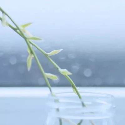 3316电丸游戏盒子下载